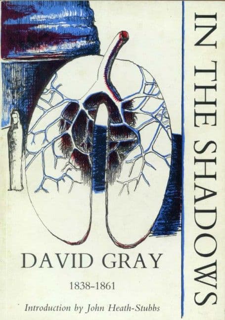 gray in the shadows